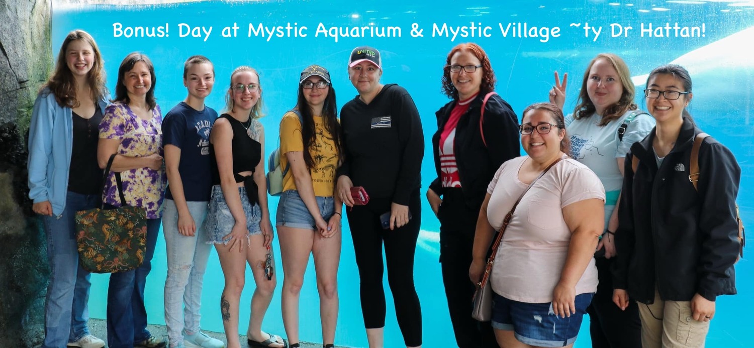 Clinic Culture - Mystic Aquarium