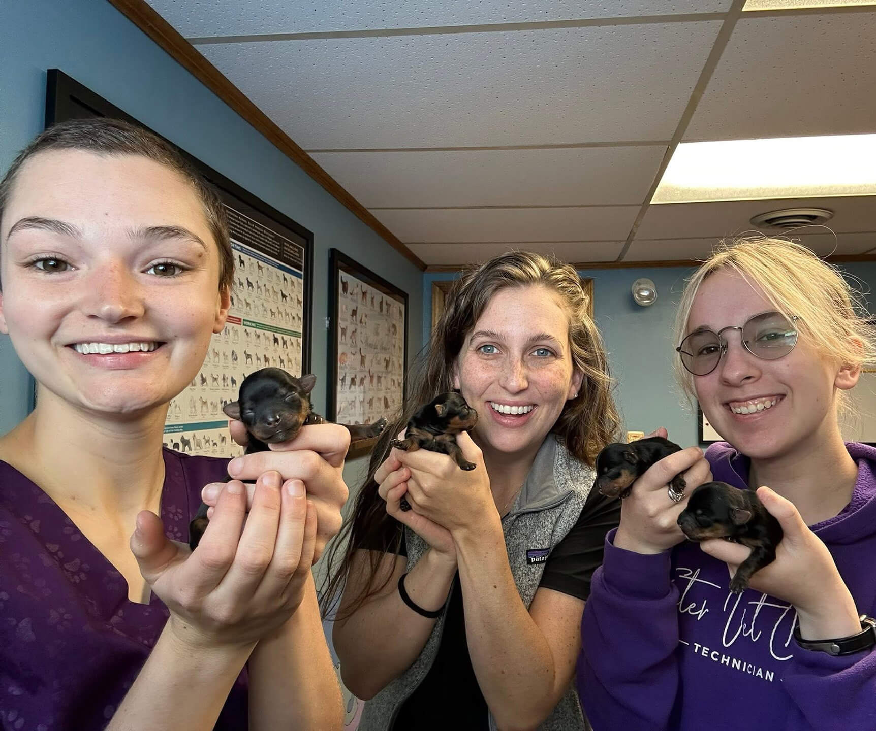 Foster Veterinarian Slider Mobile