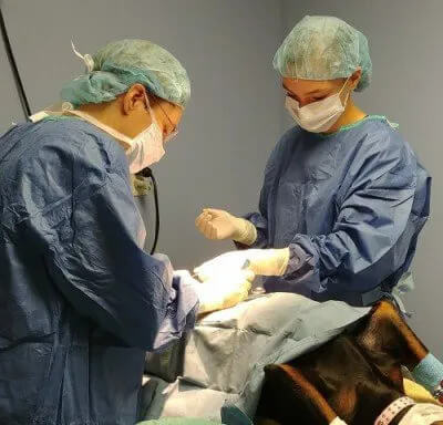 pet-surgery-img