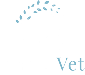 Foster Veterinary Clinic